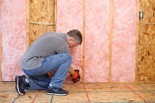 Best Blown-in Insulation in Fruit Cove, FL