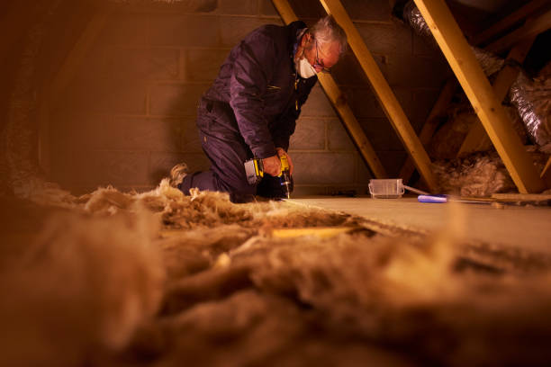 Best Cellulose Insulation in Fruit Cove, FL